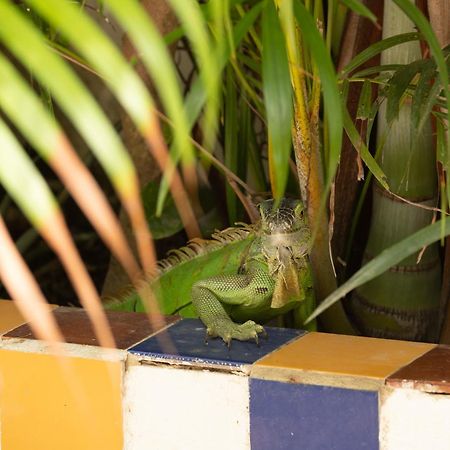 Casa Mazunte Tierra Viva Otel Dış mekan fotoğraf