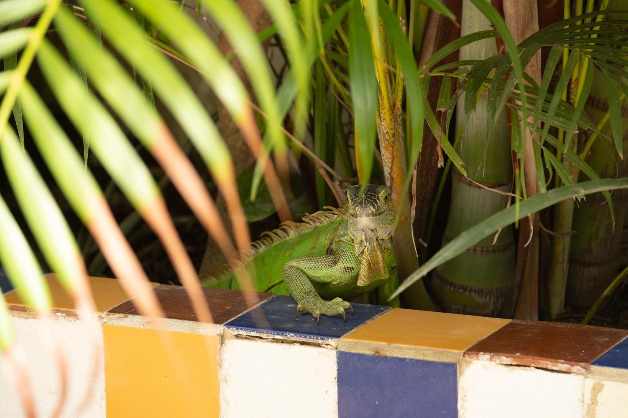 Casa Mazunte Tierra Viva Otel Dış mekan fotoğraf